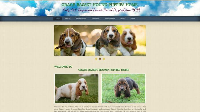 Gracebassethounds.com - Bassethound Puppy Scam Review