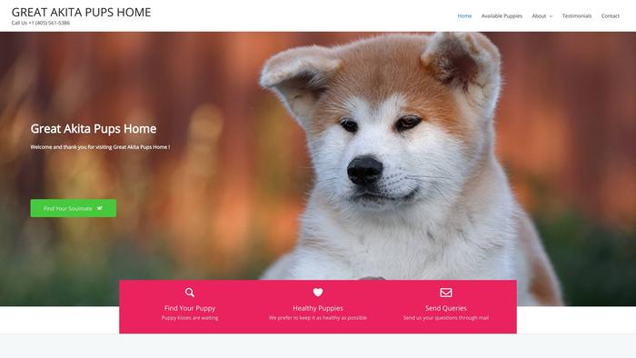 Greatakitapupshome.com - Akita Puppy Scam Review