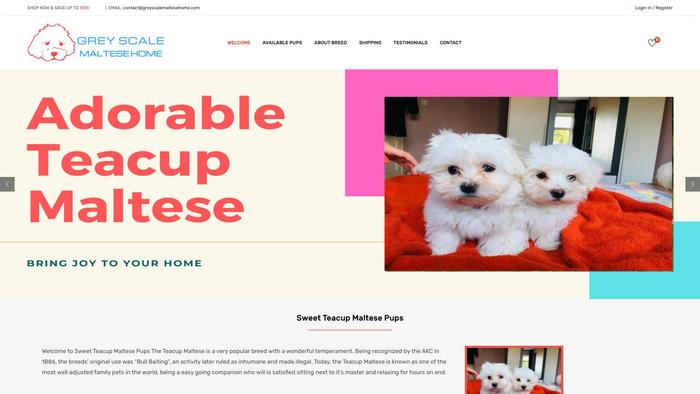 Greyscalemaltesehome.com - Maltese Puppy Scam Review