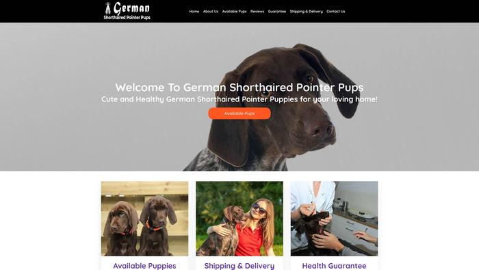 Gshorthairedpointerpups.com - British Shorthair Puppy Scam Review