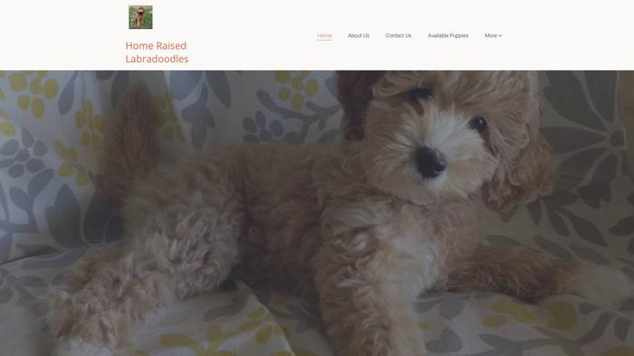 Harmonylabdoodles.com - Labradoodle Puppy Scam Review