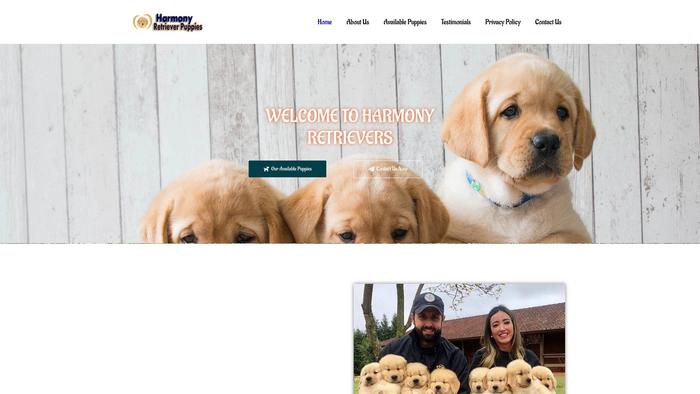 Harmonyretrieverpuppies.com - Golden Retriever Puppy Scam Review