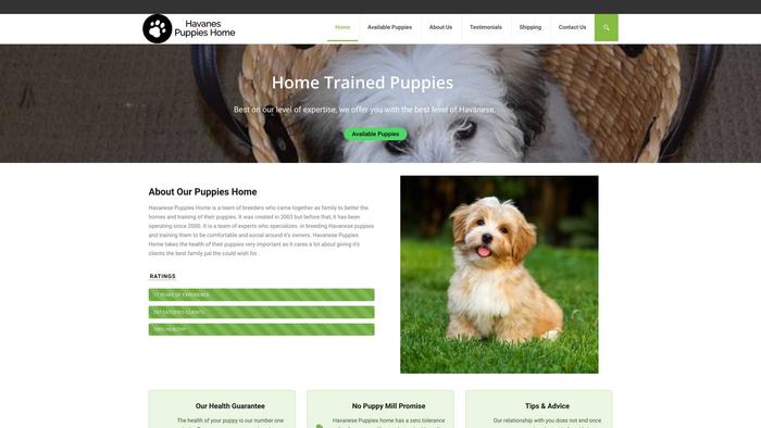 Havanespuppyhome.com - Havanese Puppy Scam Review