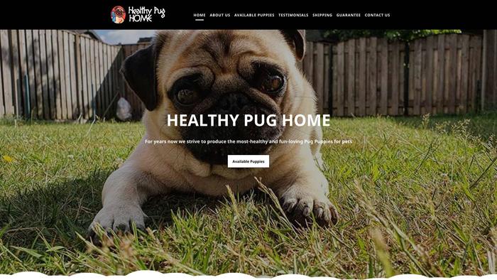 Healthypughome.com - Pug Puppy Scam Review