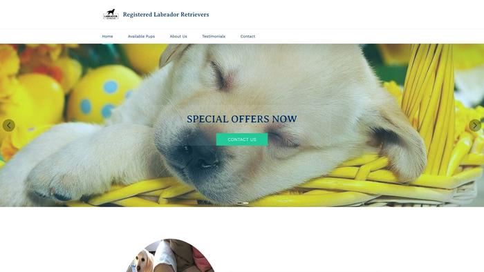 Healthyretrievers.com - Golden Retriever Puppy Scam Review