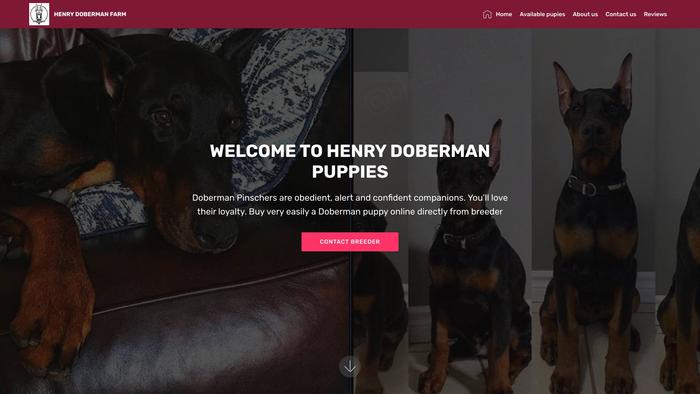 Henrydobermanfarm.com - Doberman Pinscher Puppy Scam Review