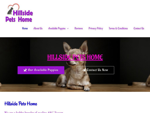 Hillsidepetshome.com - Akita Puppy Scam Review