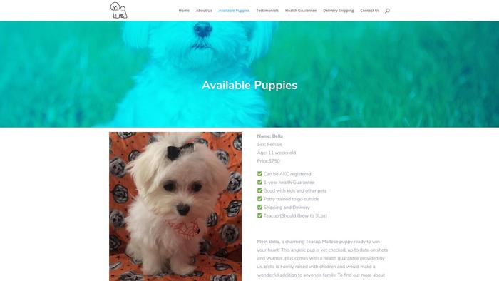 Jessicateacupmaltesepuppies.com - Maltese Puppy Scam Review