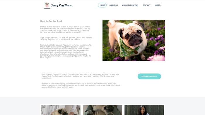 Jinnypugspuppies.net - Pug Puppy Scam Review