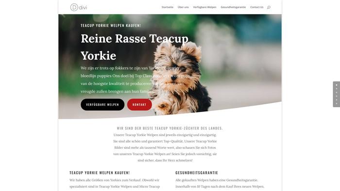 Kaufensieteacupyorkieonline.com - Yorkshire Terrier Puppy Scam Review