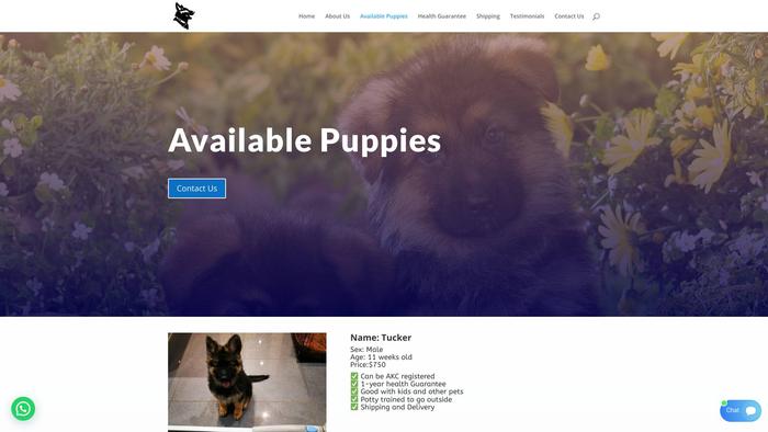 Kinggermanshepherds.com - Germanshepherd Puppy Scam Review