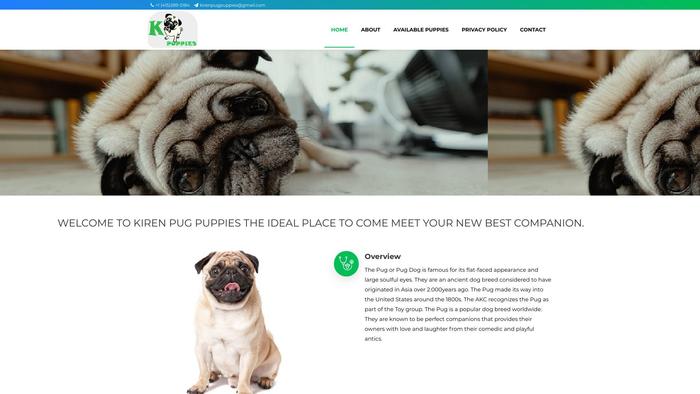 Kirenpugpuppies.com - Pug Puppy Scam Review