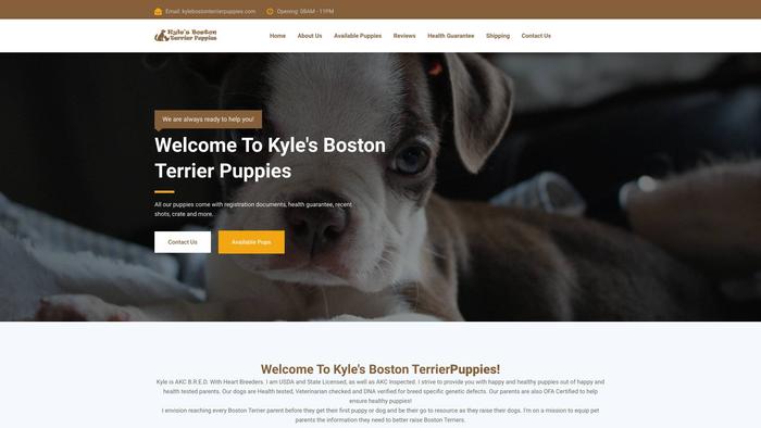 Kylebostonterrierpuppies.com - Boston Terrier Puppy Scam Review