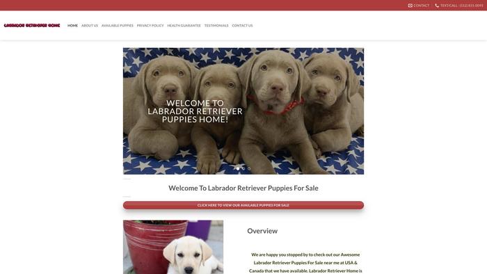 Labradorretrieverpups4sale.com - Golden Retriever Puppy Scam Review