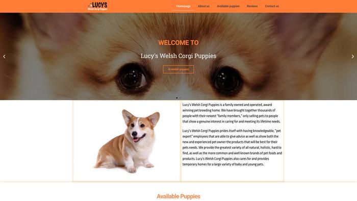 Lucyswelshcorgipuppies.com - Corgi Puppy Scam Review