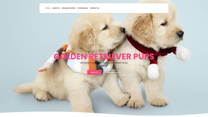 Luxuriousgoldenretrieverpups.com - Golden Retriever Puppy Scam Review