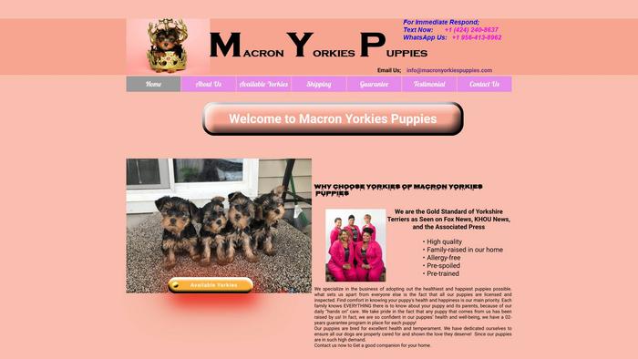 Macronyorkiespuppies.com - Yorkshire Terrier Puppy Scam Review