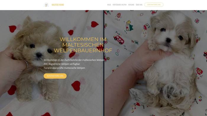 Maltesehund.com - Maltese Puppy Scam Review