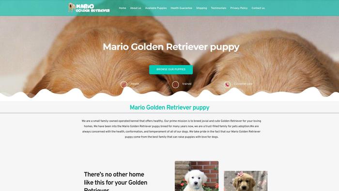 Mariogoldenretriever.com - Golden Retriever Puppy Scam Review