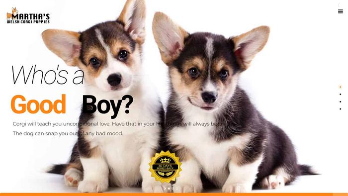 Marthaswelshcorgipuppies.com - Corgi Puppy Scam Review