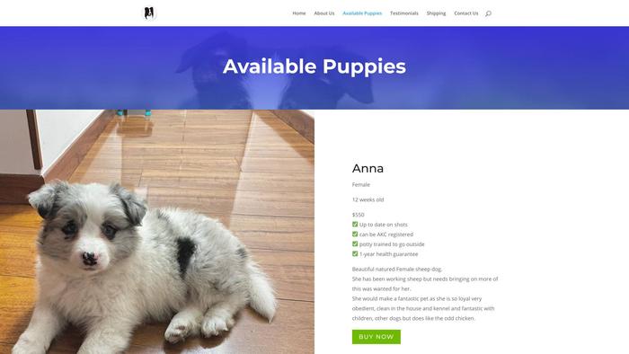 Masonbordercolliehome.com - Bordercollie Puppy Scam Review