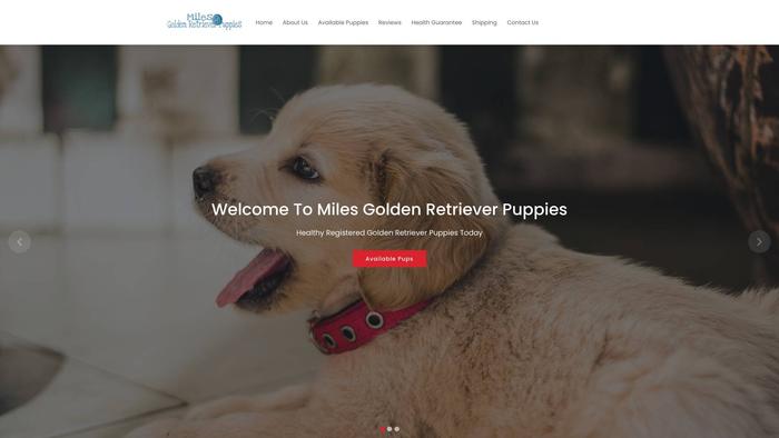 Milesgoldenretrieverpuppies.com - Golden Retriever Puppy Scam Review