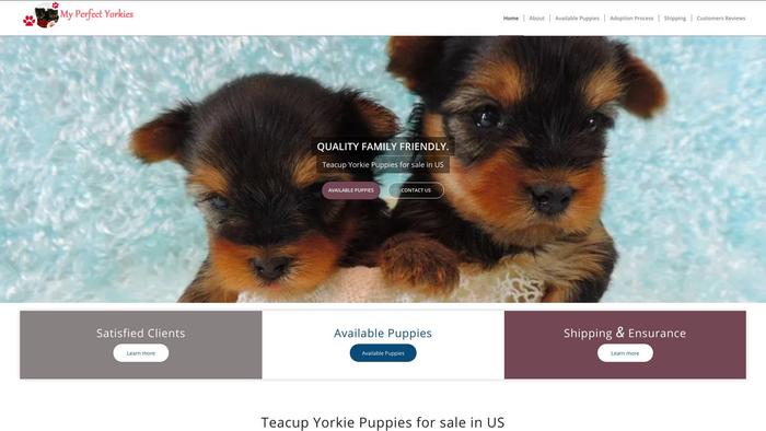 Mppuphome.com - Australian Shepherd Puppy Scam Review