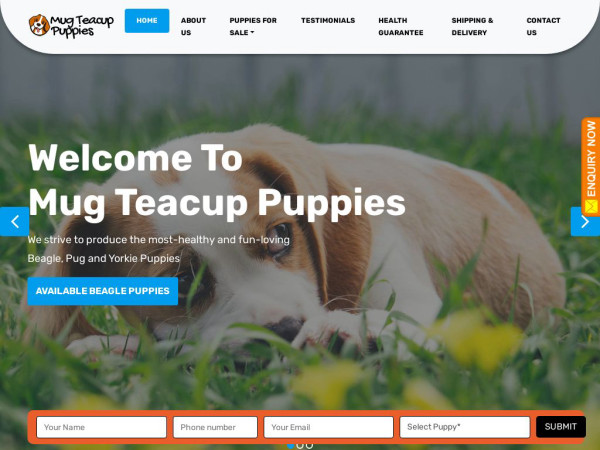 Mugteacuppuppy.com - Yorkshire Terrier Puppy Scam Review