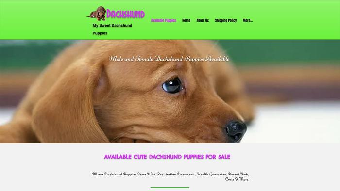 Mysweetdachshuandhome.com - Dachshund Puppy Scam Review