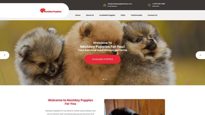 Nextdaypuppiesforyou.com - Pomeranian Puppy Scam Review