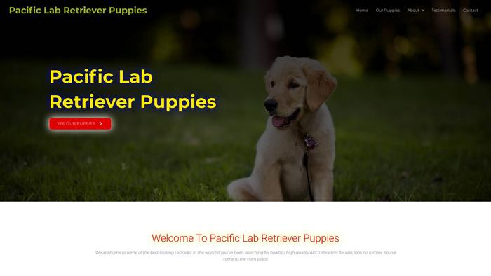 Pacificlabretrieverpuppies.com - Golden Retriever Puppy Scam Review