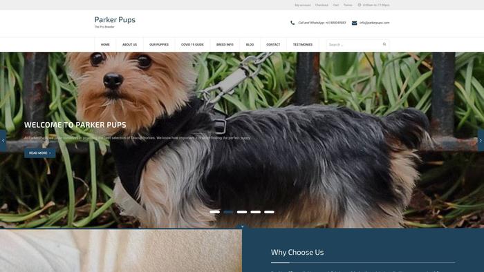 Parkerpups.com - Yorkshire Terrier Puppy Scam Review