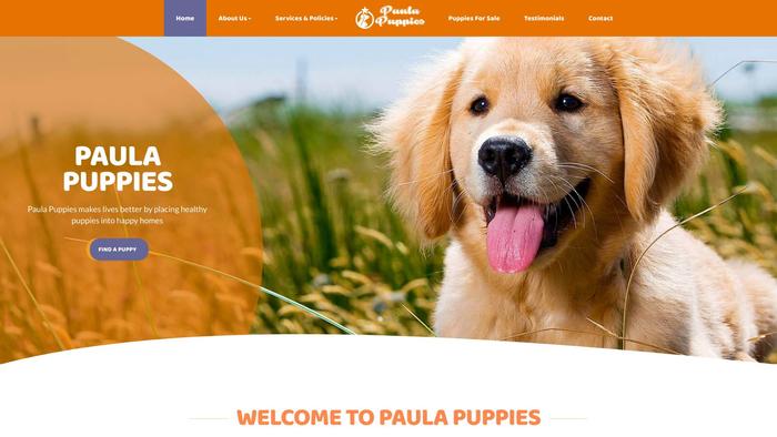 Paulapuppies.com - Cavapoo Puppy Scam Review