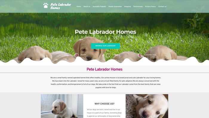 Petelabradorhomes.com - English Bulldog Puppy Scam Review