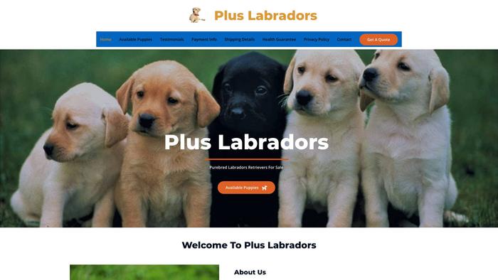 Pluslabradors.com - Golden Retriever Puppy Scam Review