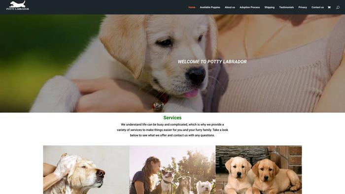 Pottylabrador.com - Golden Retriever Puppy Scam Review