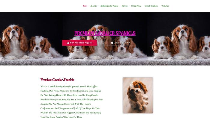 Premiumcavalierspaniels.com - Cavalier King Charles Spaniel Puppy Scam Review