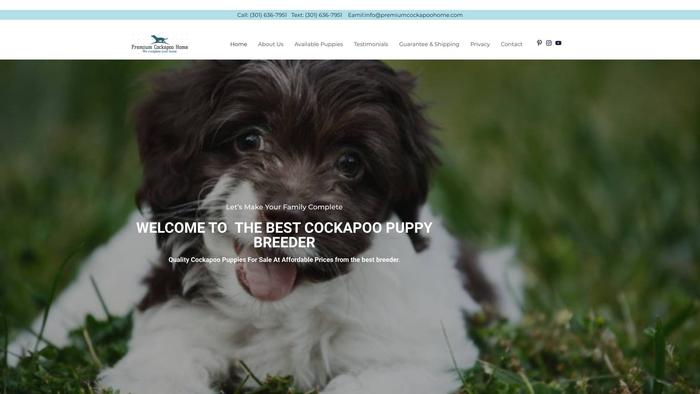 Premiumcockapoohome.com - Cockapoo Puppy Scam Review