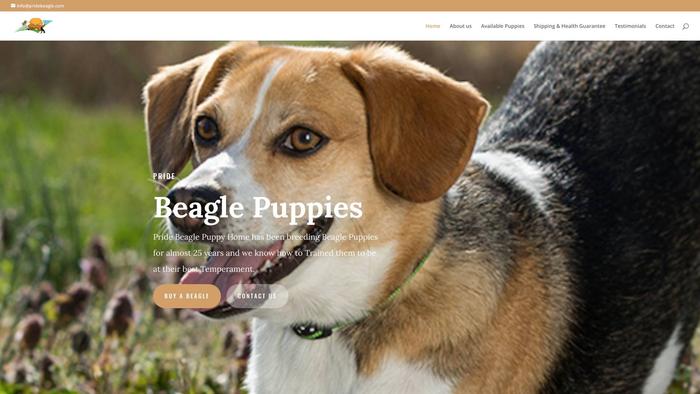 Pridebeagle.com - Beagle Puppy Scam Review