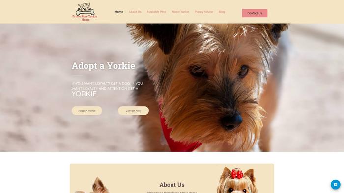 Primeroseyorkiehome.online - Yorkshire Terrier Puppy Scam Review