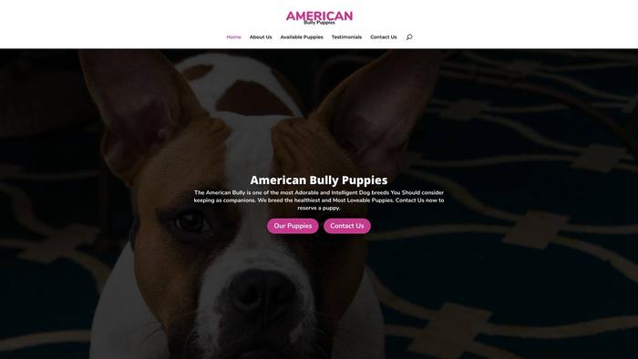 Proamericanbullyhome.com - Pit Bull Puppy Scam Review