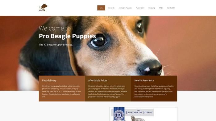 Probeaglepups.com - Beagle Puppy Scam Review