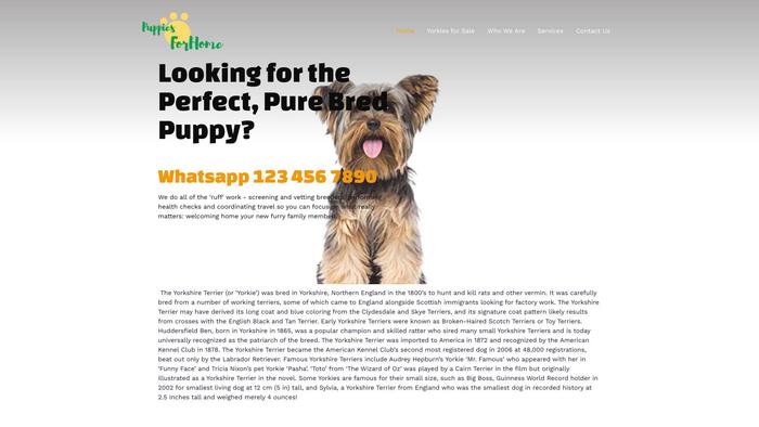 Puppiesforhome.com - Yorkshire Terrier Puppy Scam Review