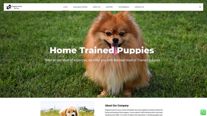 Puppieshome4you.com - Pomeranian Puppy Scam Review