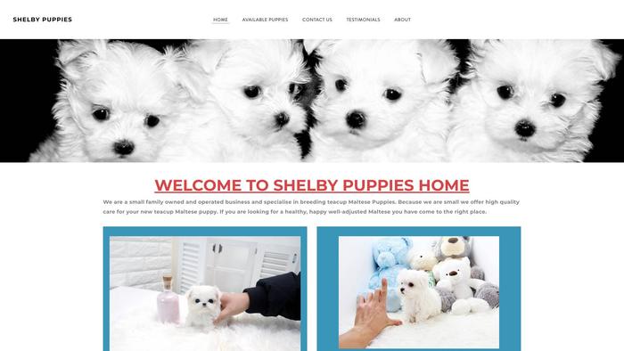 Purebreedmaltesepuppies.com - Maltese Puppy Scam Review