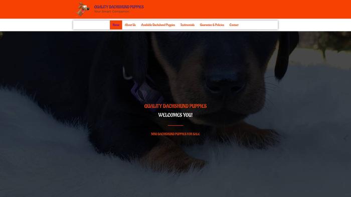 Qualitydachshundpuppies.com - Dachshund Puppy Scam Review