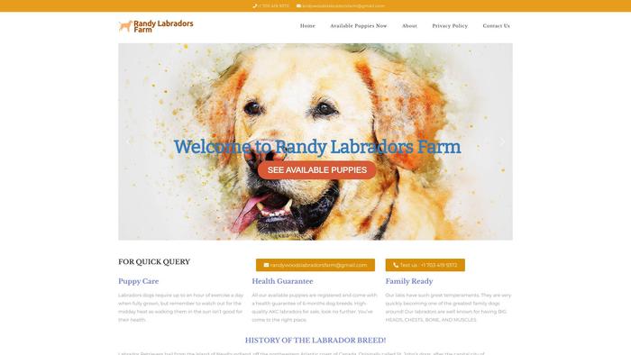 Randywoodslabradorsfarm.com - Labrador Puppy Scam Review