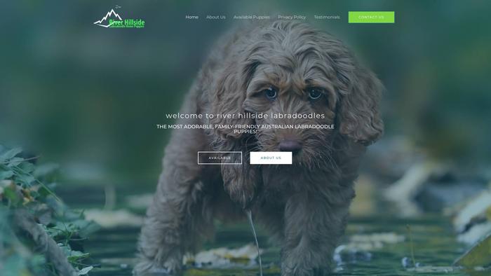 Riverhillside.com - Labradoodle Puppy Scam Review