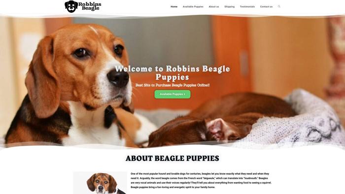 Robbinsbeaglepuppies.com - Beagle Puppy Scam Review