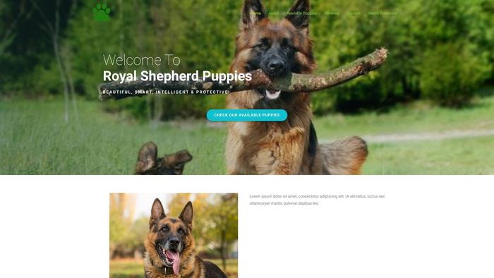 Royalshepherdpuppies.com - Germanshepherd Puppy Scam Review